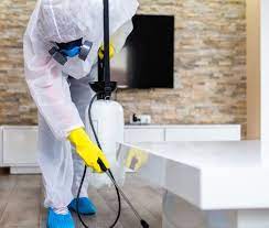  رقم شركة مكافحة حشرات