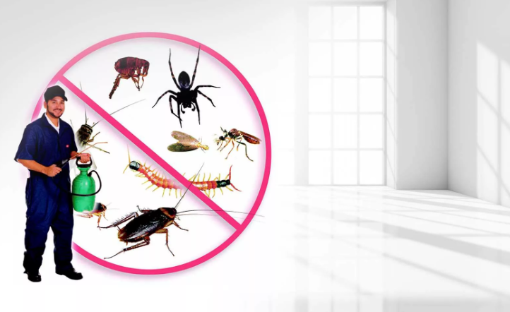 كيفية التخلص من الصراصير في السيارة والمركبات