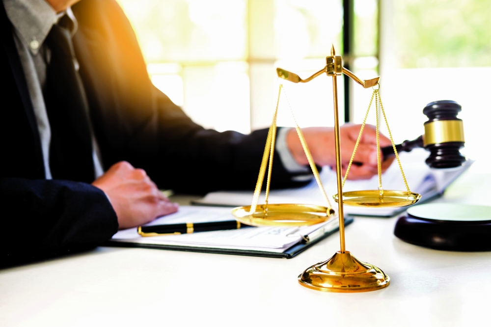 محامى فى مصر