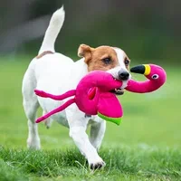 منتجات الحيوانات الاليفة متجر saifpets