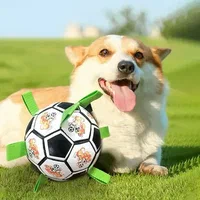 تسوق مستلزمات الحيوانات اون لاين  متجر saifpets