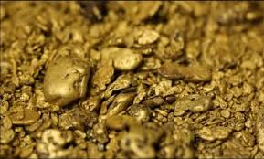 metal and gold detectors for sale