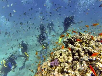 orange bay tour hurghada