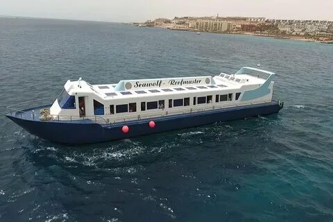 hurghada coral reef trips